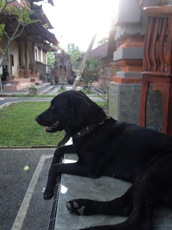 D'Jero Homestay Ubud Dış mekan fotoğraf